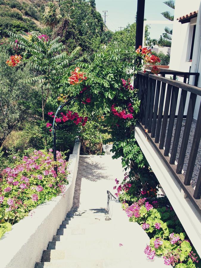 Oliaria Apartments Platanés Εξωτερικό φωτογραφία
