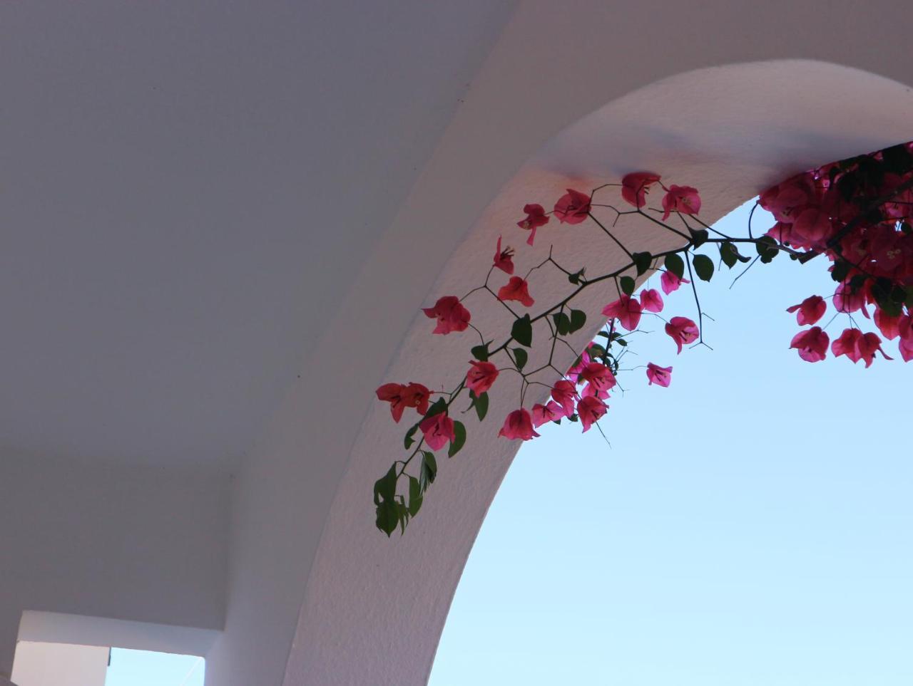 Oliaria Apartments Platanés Εξωτερικό φωτογραφία